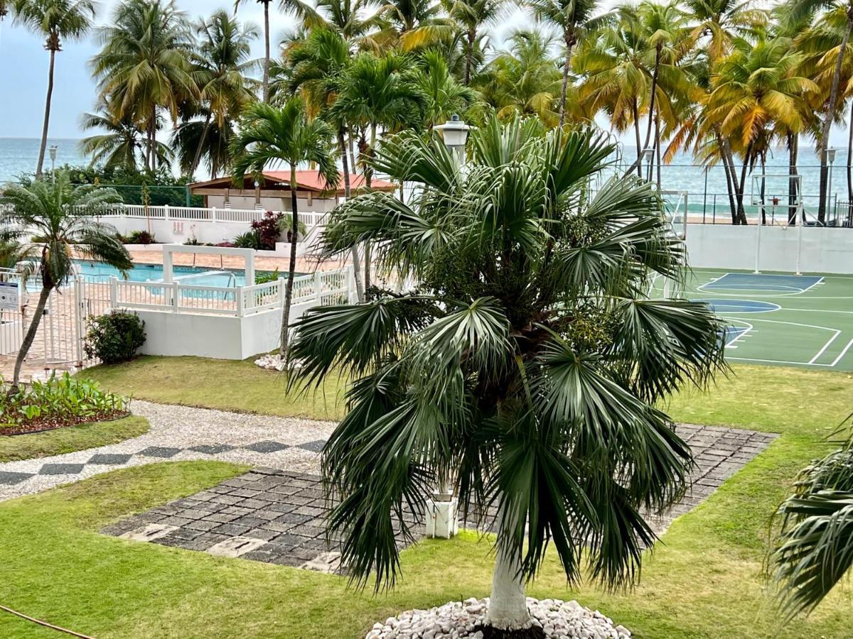 Beachfront Tropical Tantra Apartment سان خوان المظهر الخارجي الصورة